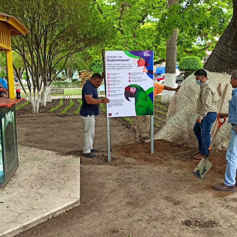 Bioreserve tourism signage for endangered parrots